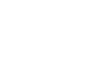 IVEX Logo