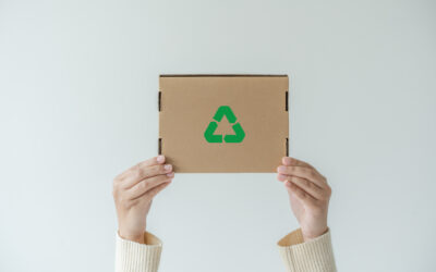 Meeting the Rising Demand for Sustainable Packaging: Strategies for Packaging Distributors